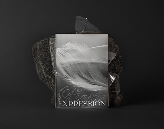 Libro del proyecto Plastic Expression sobre una piedra oscura