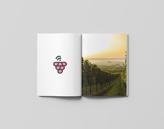 Libro de Viaconfer abierto con el logotipo de la uva