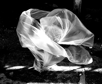 Tela blanca en movimiento sobre fondo negro (proyecto Plastic Expression)
